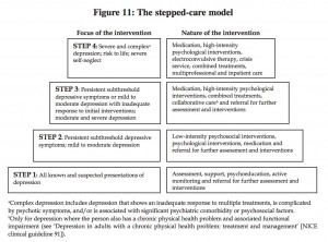 The NICE stepped-care model for depression