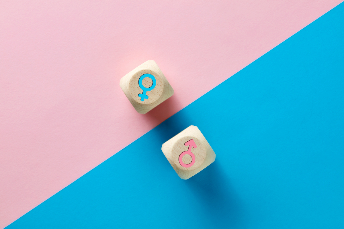 Male And Female Sex Icons On Wooden Cubes On Pink National Elf Service