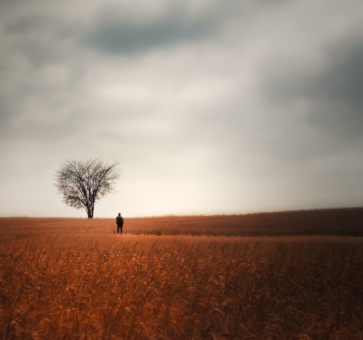 The role of loneliness in self-injury: untangling the Integrated ...