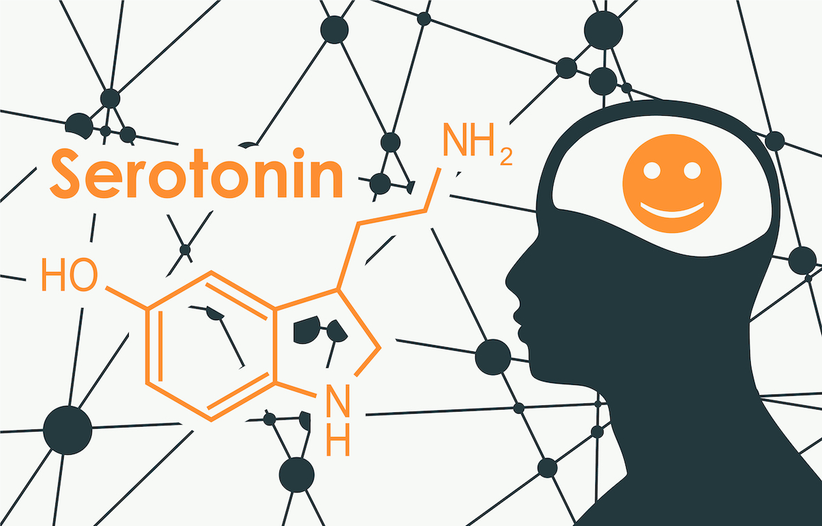 hypothesis about serotonin