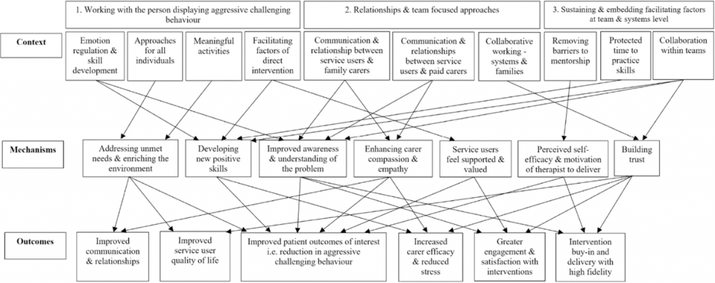 Three main areas of intervention were identified as having significant impacts on challenging behaviour in adults with intellectual disability: Direct interventions, relationship dynamics, and system-level interventions.