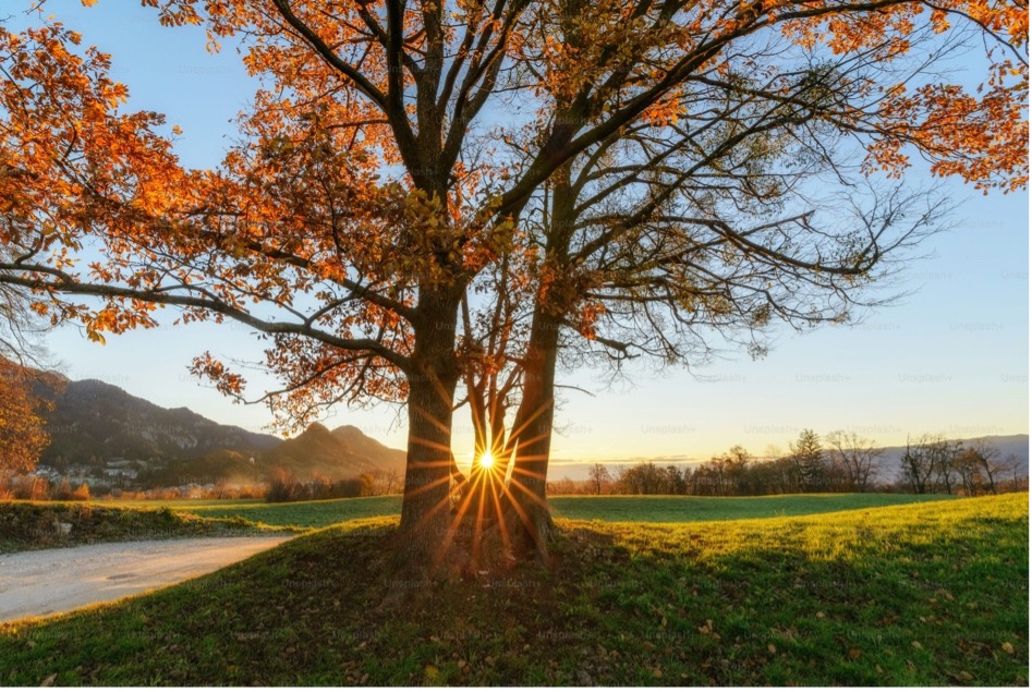 Post-traumatic growth can help us understand how adversity fuels growth, personal strength and a renewed appreciation for life.